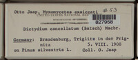 Image Associated With the Occurence